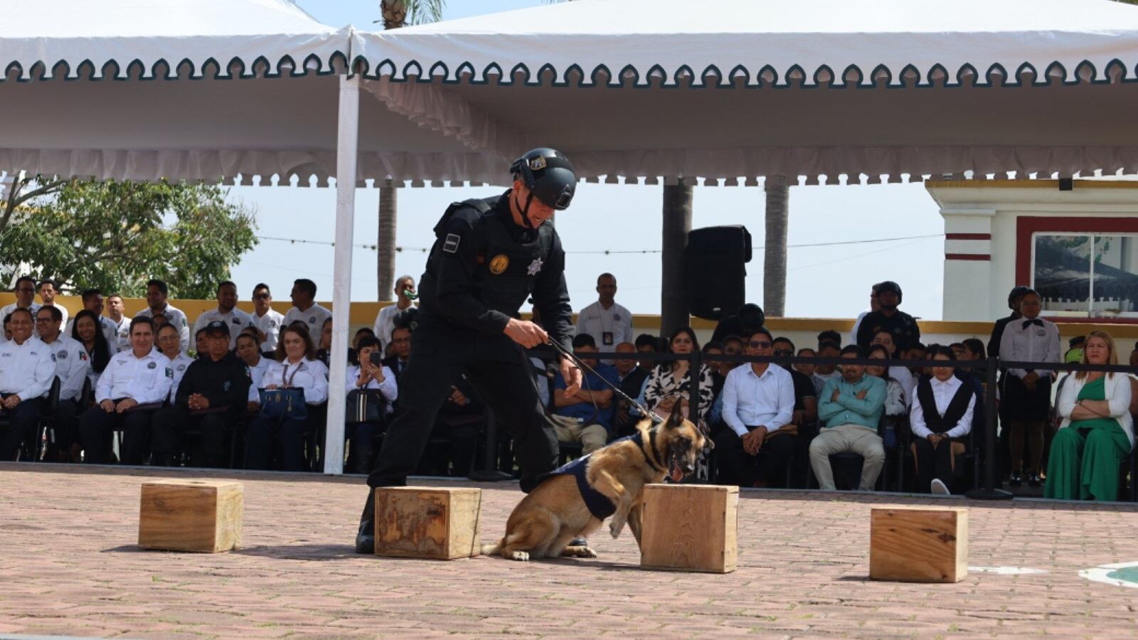 Jubilación de perros de la Secretaría de Seguridad y Protección Ciudadana
