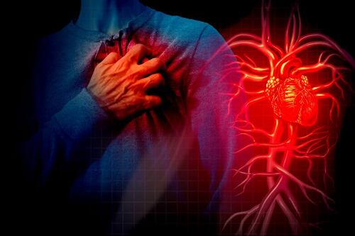 Día Mundial del Corazón: especialistas alertan por aumento del síndrome Cardiorrenal en México