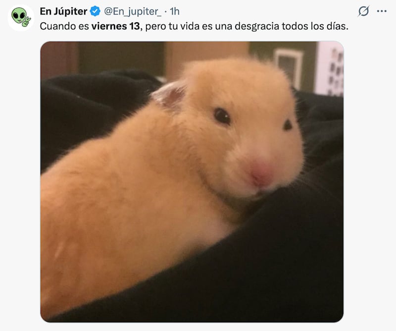 Memes del viernes 13