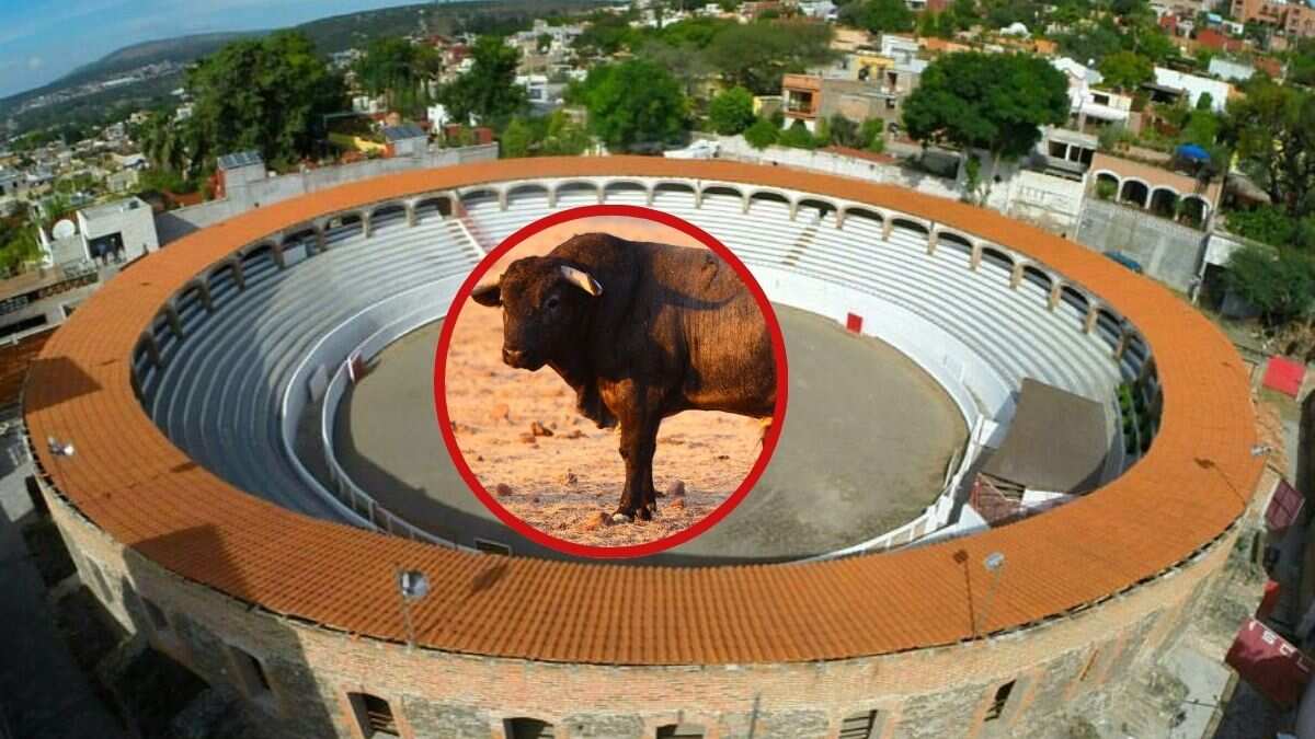 La iniciativa busca transformar las corridas de toros en Guanajuato para preservar la tradición sin maltrato animal.