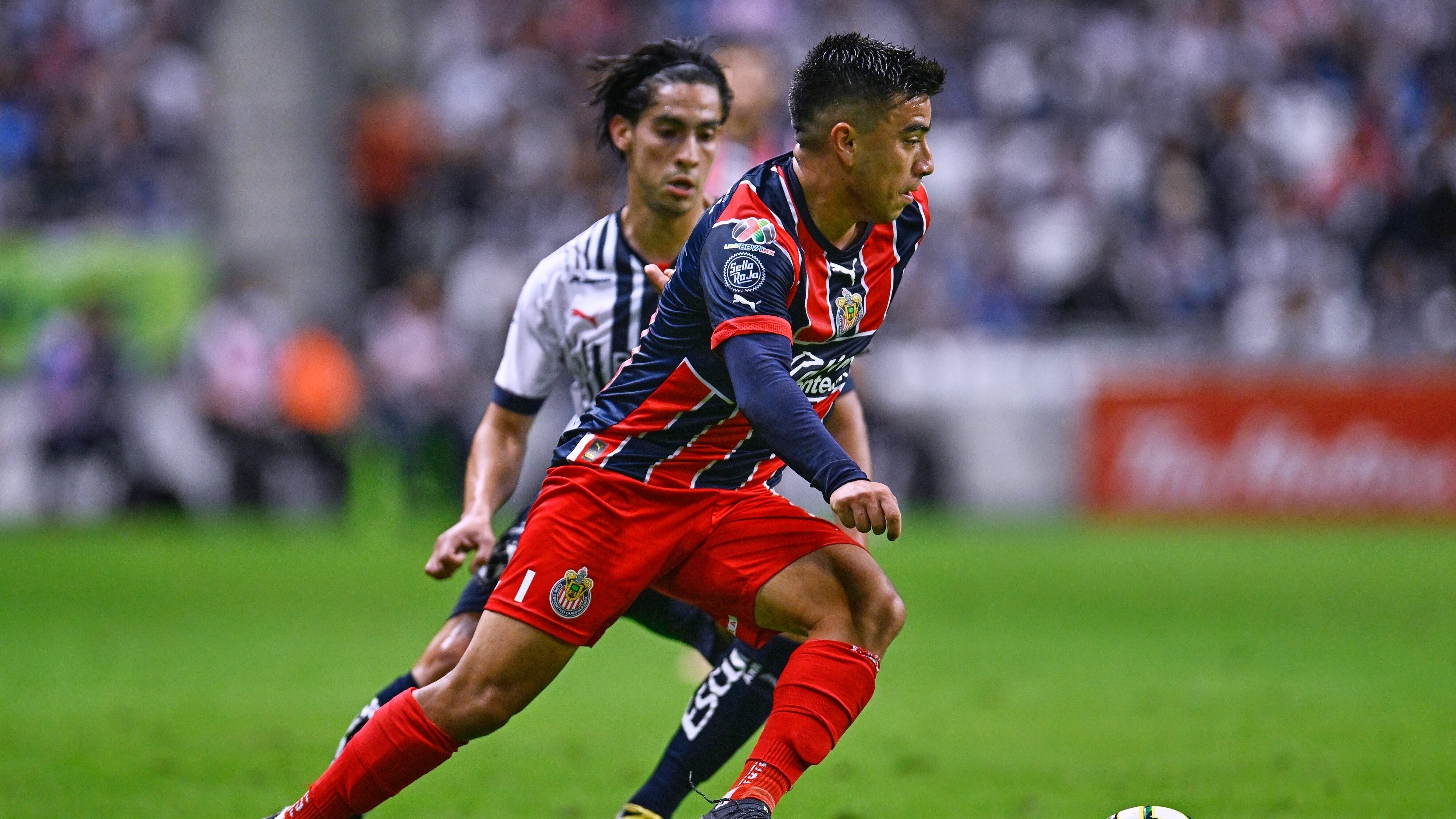 El Rebaño se ve ante la Pandilla