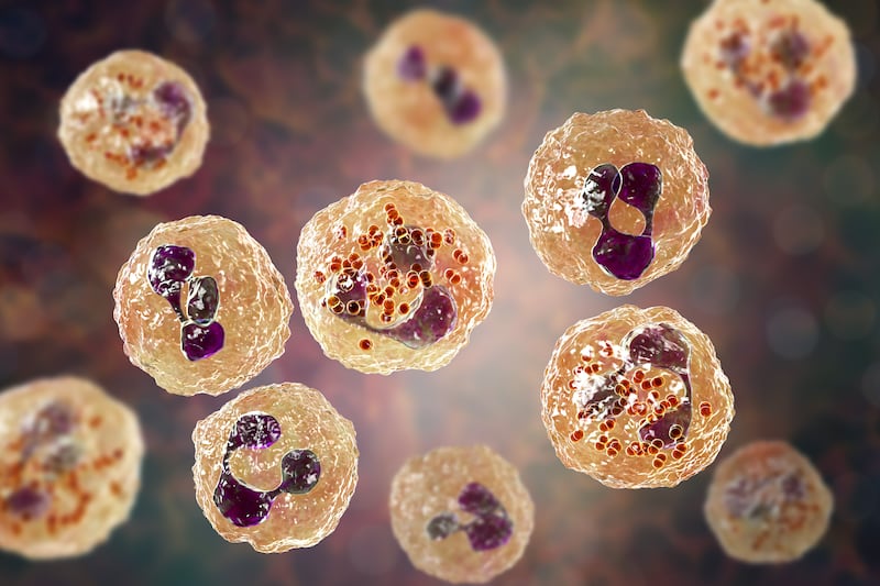 Meningitis aséptica