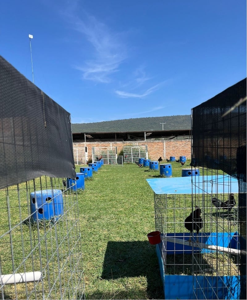 CORTESÍA/ GOBIERNO DE JALISCO