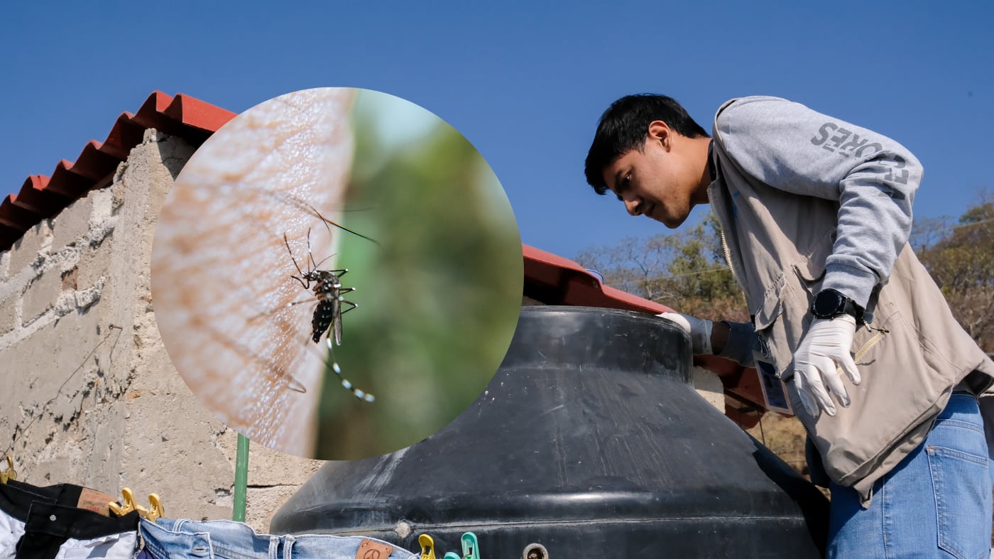 IMAGEN ILUSTRATIVA/ GOBIERNO DE JALISCO/ CANVA/ ESPECIAL