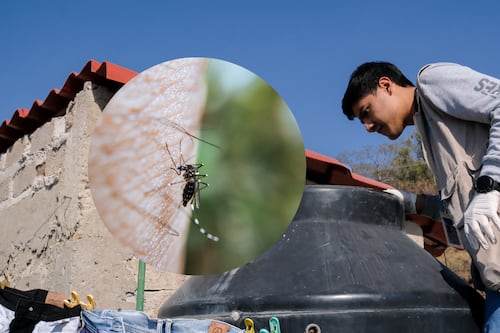 Refuerzan medidas contra el dengue ante temporada de lluvias; suman 17 casos en 2026