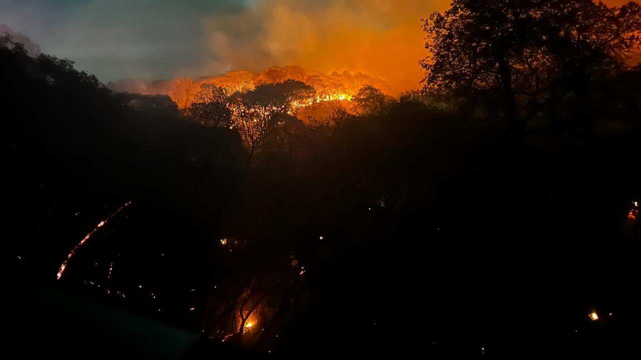 Autoridades combaten incendio en Pinar de la Venta; ya suman 15 hectáreas afectadas y una persona intoxicada. CORTESÍA/ PROTECCIÓN CIVIL DE JALISCO
