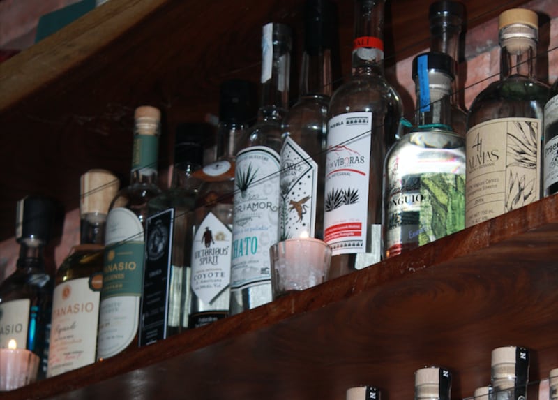 Este refugio es para quienes buscan vivir el mezcal como experiencia cultural, sensorial y auténticamente mexicana