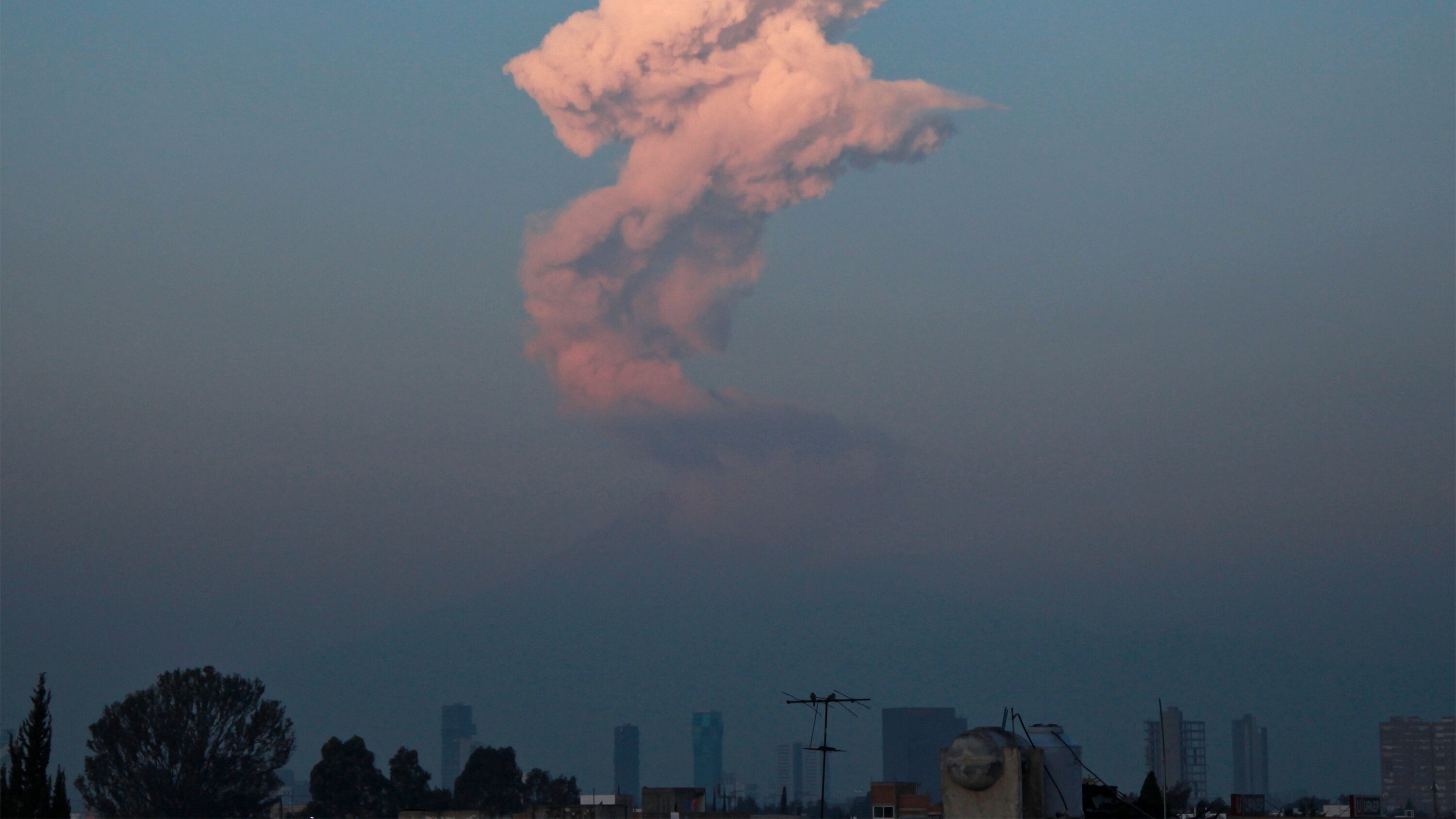 FOTO: Agencia Enfoque