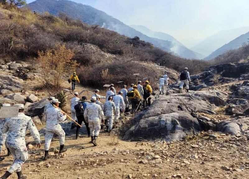 ¿Cómo combaten los incendios forestales en Oaxaca?