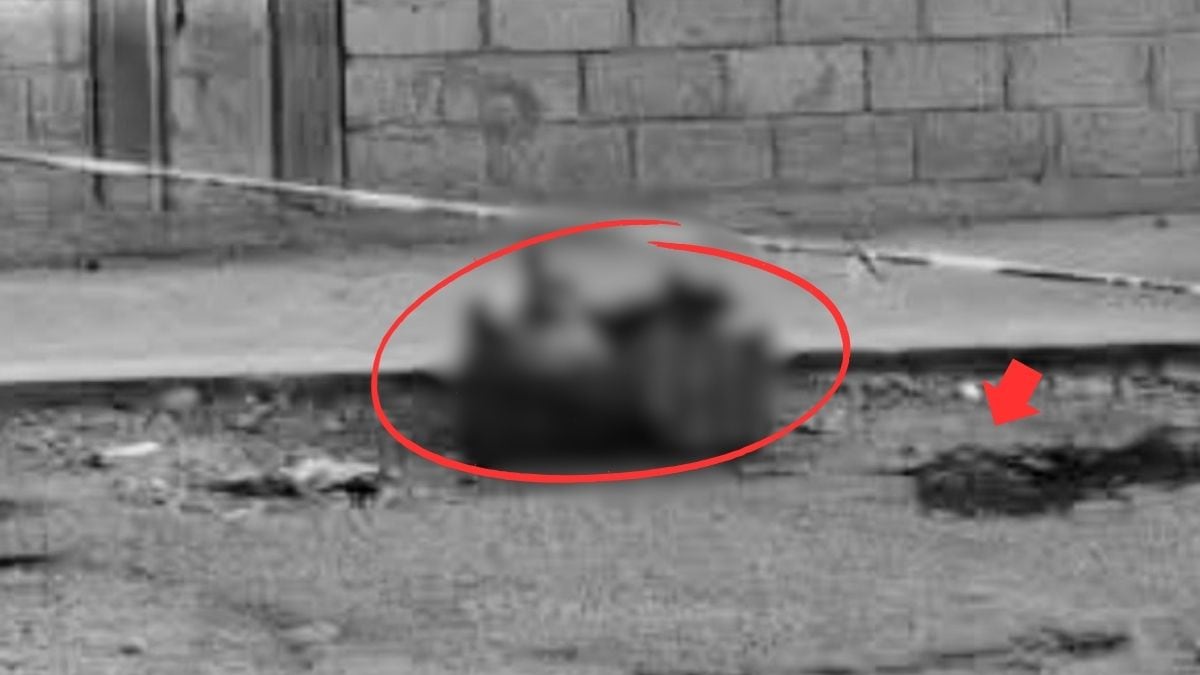 Video: Encuentran restos humanos dentro de caja naranja abandonada en calles de Tultitlán