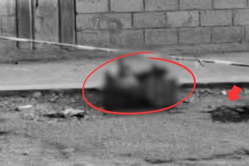 Encuentran restos humanos dentro de caja naranja abandonada en calles de Tultitlán