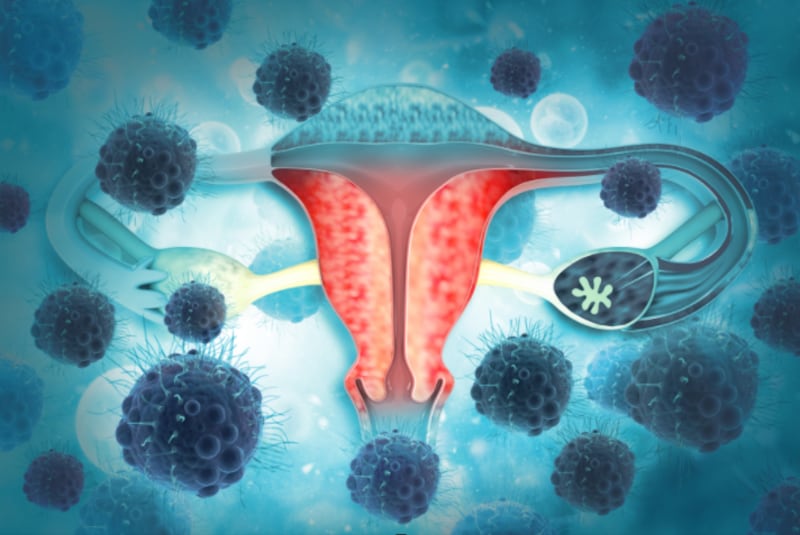 Virus Papiloma Humano