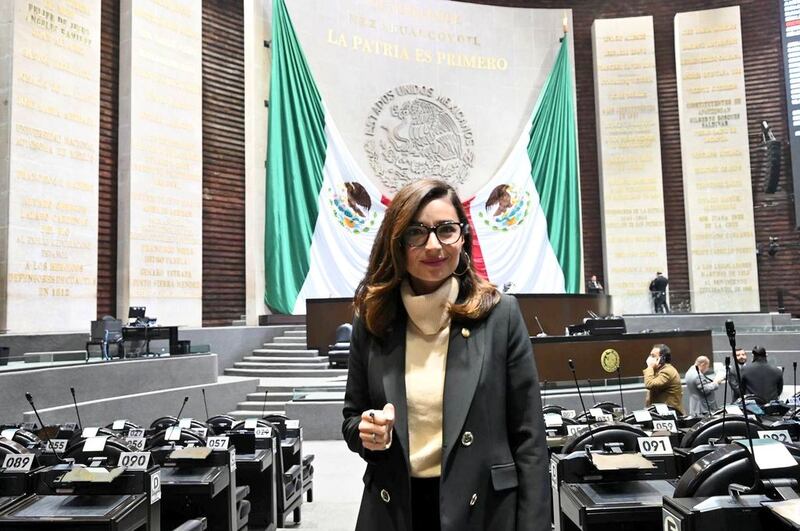 Laura Ballesteros presenta ley antiBatres (X / @LBallesterosM)