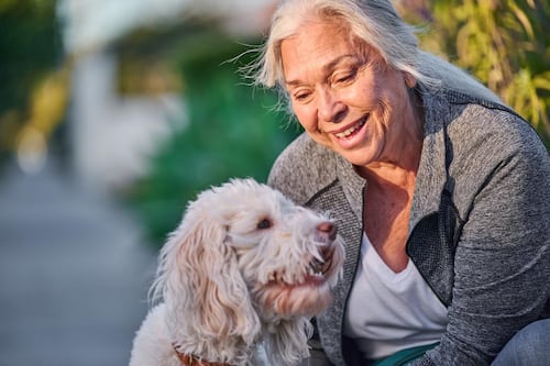 Prevención y cuidado de mascotas: medidas clave que todo dueño debe tomar para proteger su salud