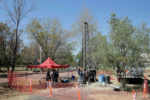 Organización ambiental exige inventario y protección de árboles por obra del Cablebús