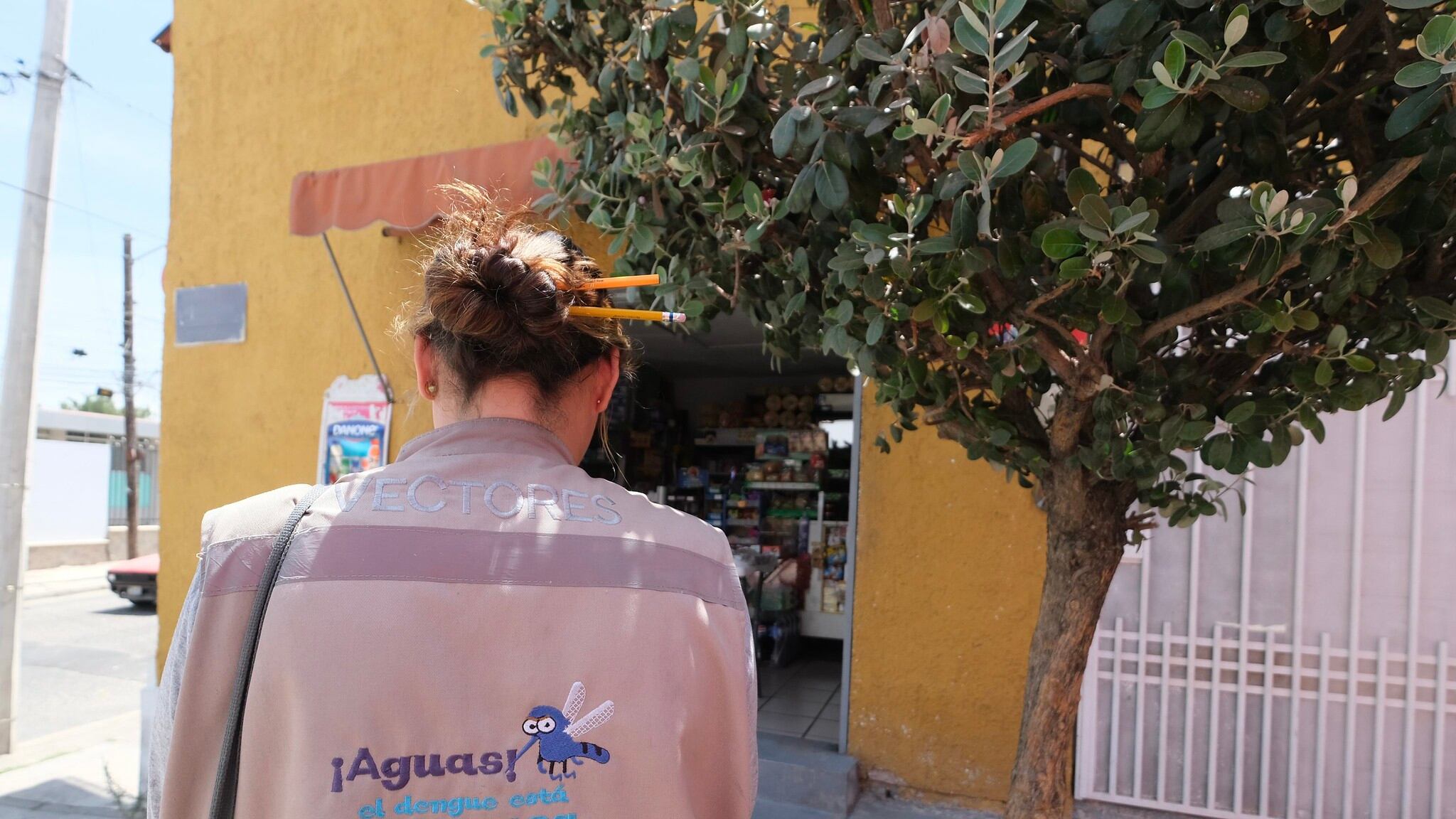 De 787 casos de dengue en Jalisco, solo el 3% son graves en 2025, confirmaron las autoridades. CORTESÍA/ GOBIERNO DE JALISCO