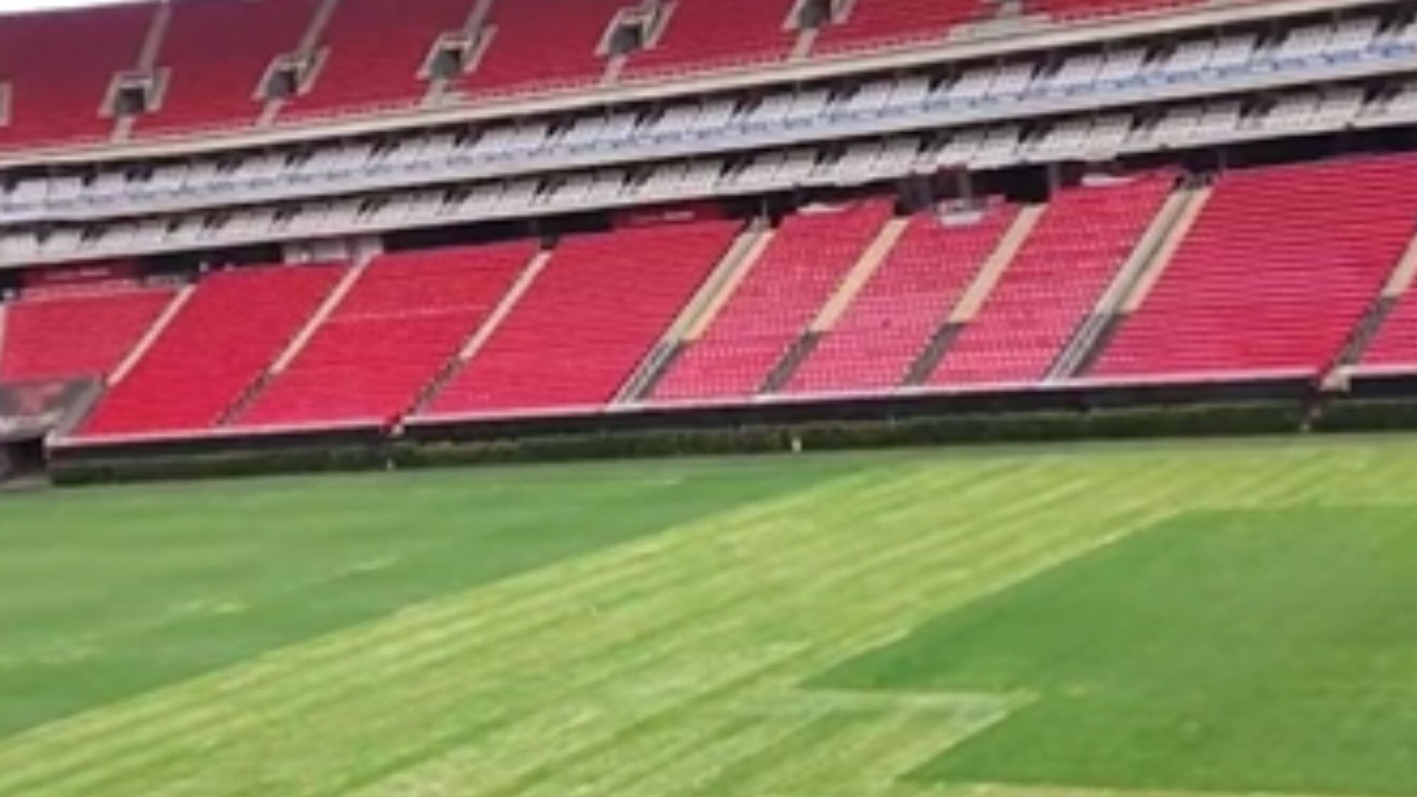 Chivas Estadio Akron cancha en mal estado