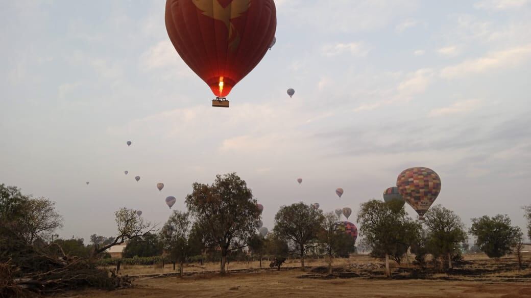 Vuela a más de 10 mil pies.