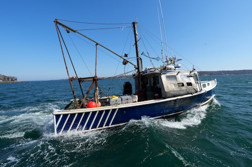 Pesquerías en crisis ponen en riesgo la soberanía alimentaria de México, alerta Oceana