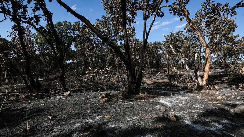 Ambos incendios se habrían originado por quemas agrícolas, señalan las autoridades.