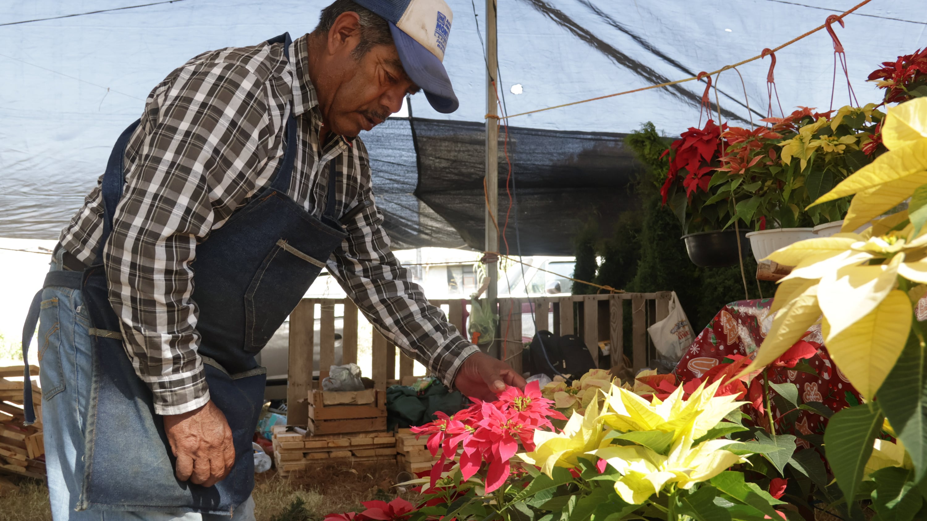 FOTO: Agencia Enfoque