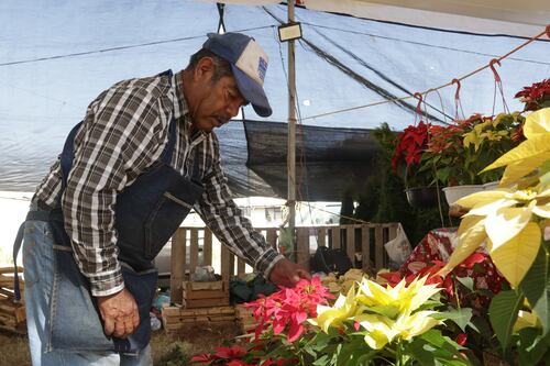 Puebla celebra el Día de la Nochebuena con récord de producción y empleos