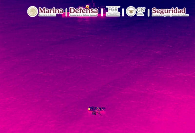 El peso bruto preliminar del cargamento es cercano a las dos toneladas; sin embargo, la cantidad exacta será determinada por las autoridades ministeriales correspondientes.