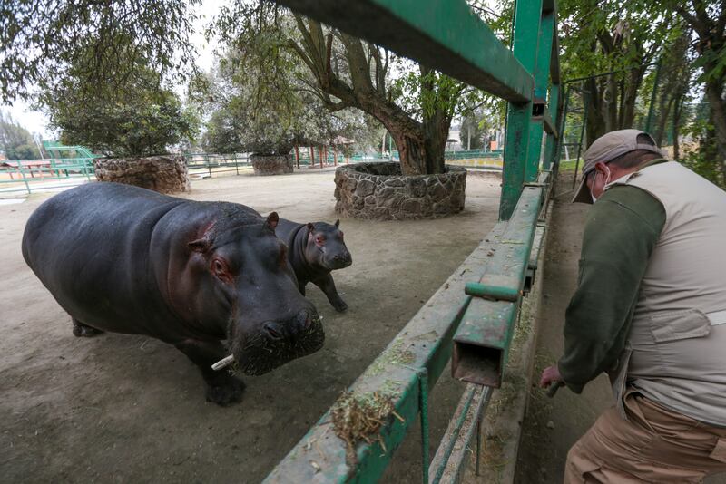 Zoológico de Zacango