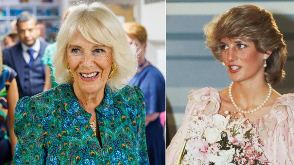 Camila Parker / Princesa Diana