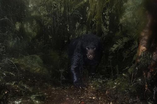 Estas son las mejores fotos de Close Up del año