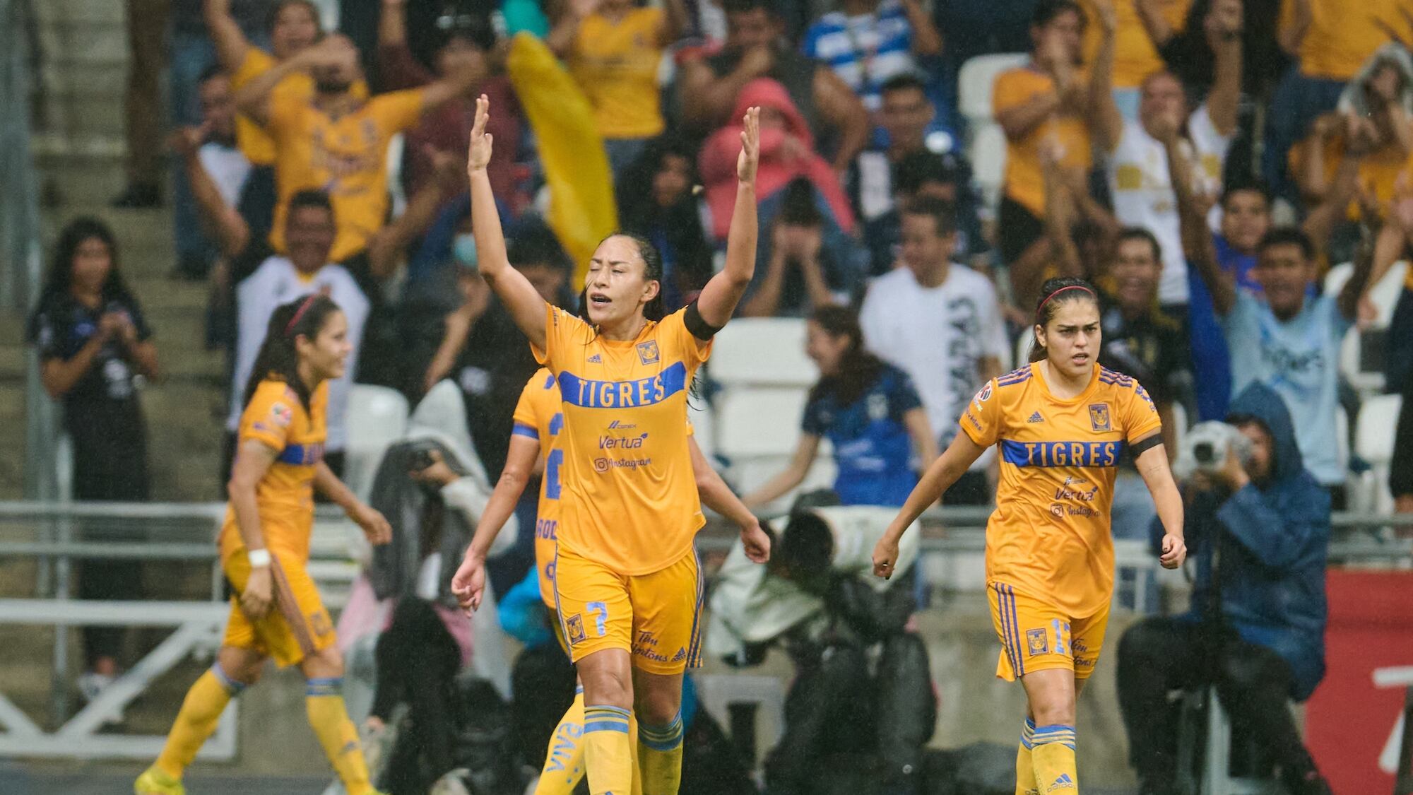 Tigres Femenil