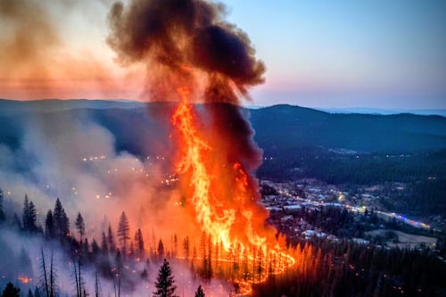 Por altas temperaturas se advierte sobre posibilidad de incendios en NL