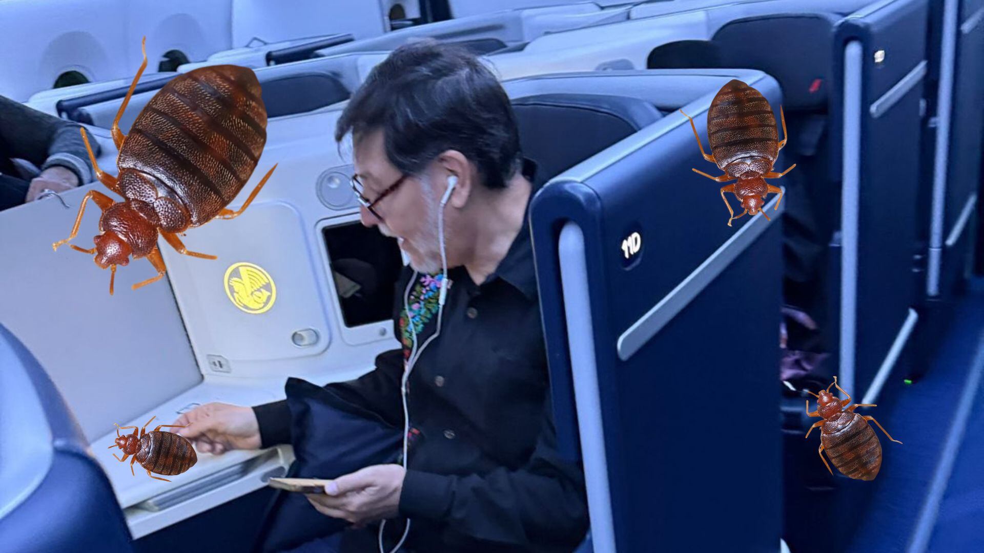 ¿Chinches en vuelo de México a Francia? Acusan a Fernández Noroña de llevar plaga de insectos a Europa