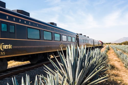 Cinco experiencias que tienes que vivir en Tequila, Jalisco si vas al Mundial