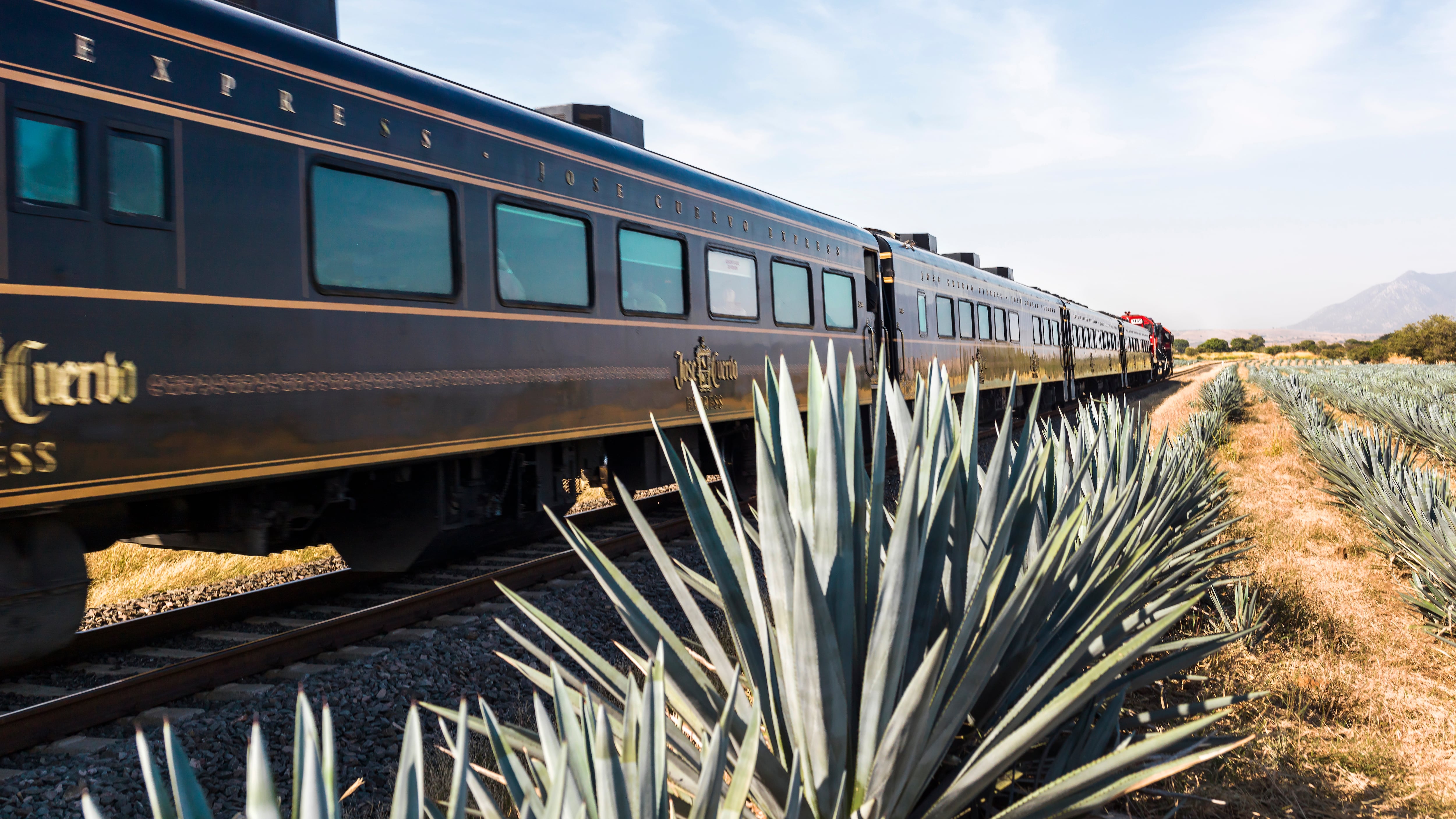 Si estás de visita en México y tu plan es ir a Jalisco, aprovecha tu estancia para conocer Tequila, uno de los destinos más emblemáticos de México