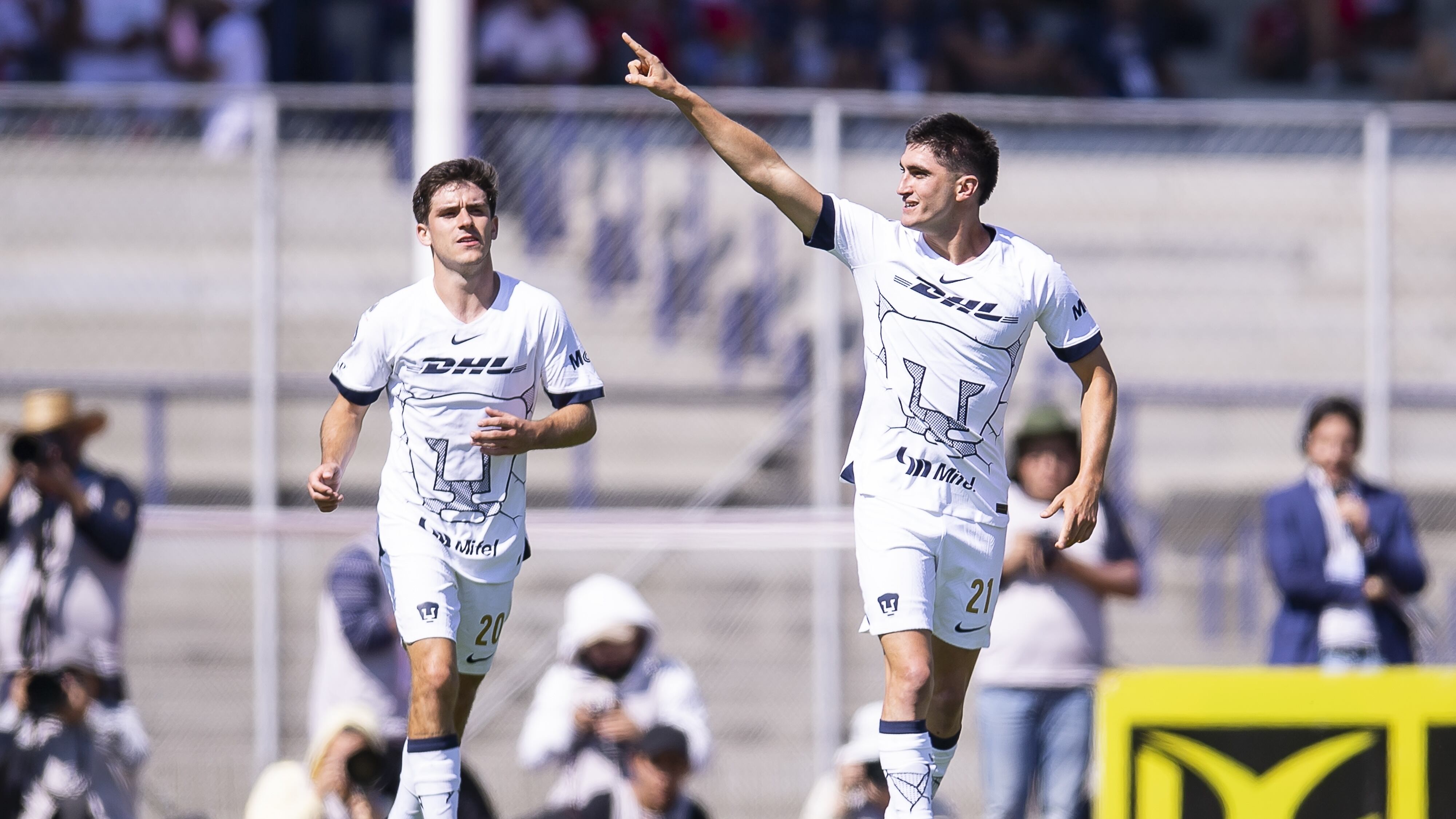 Pumas