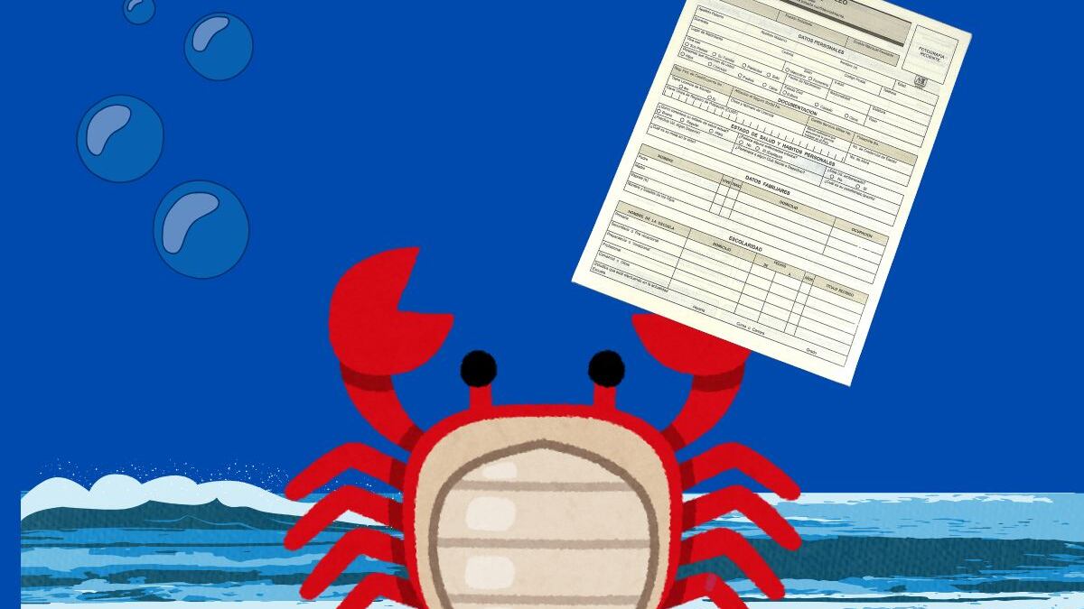 empleos-vacantes-México-habilidades-ofertas-carreras-mapa-empleos-veracruz