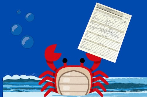 ¡A preparar maletas! Veracruz es el estado con más vacantes