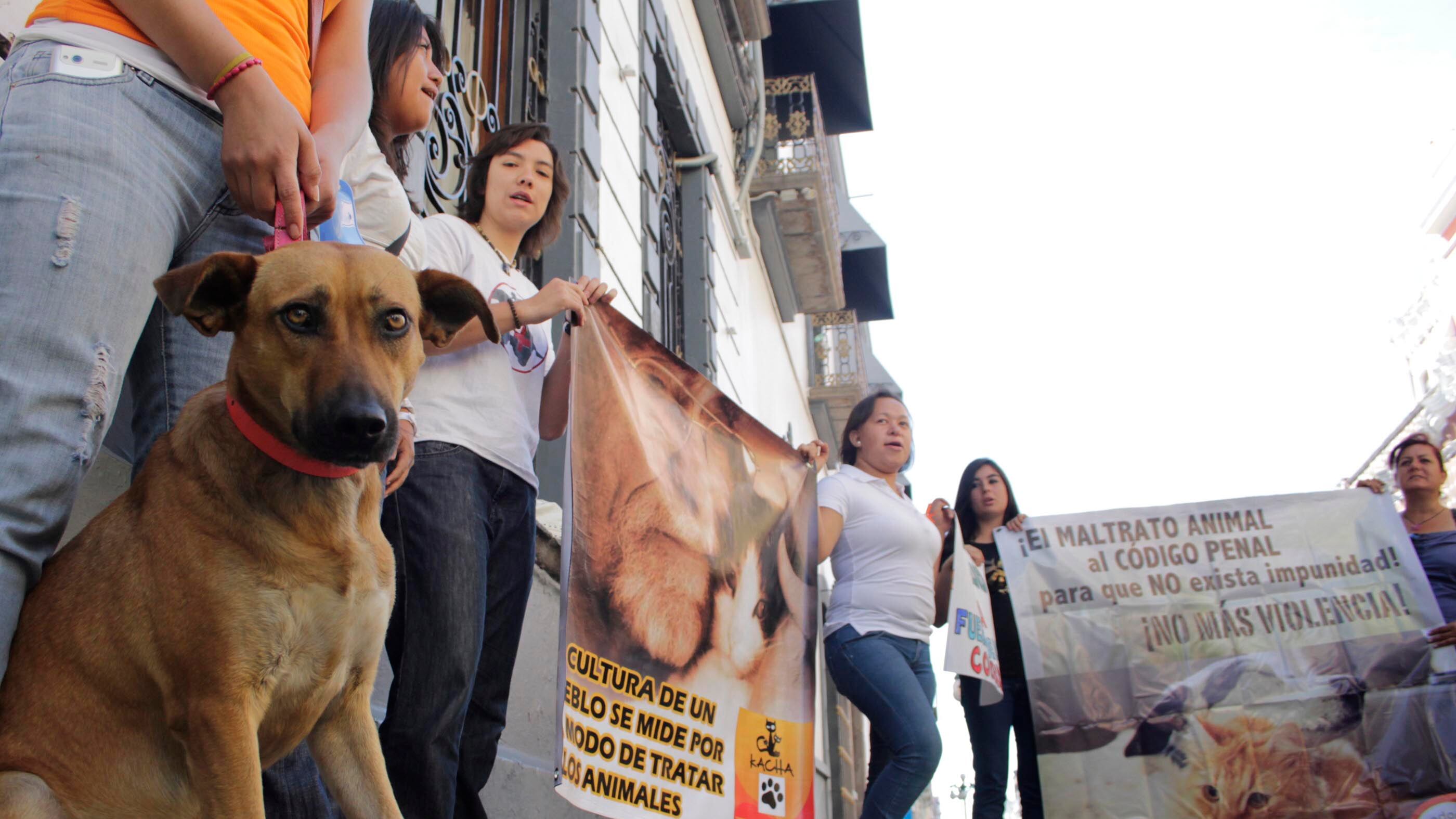 Foto: Agencia Enfoque