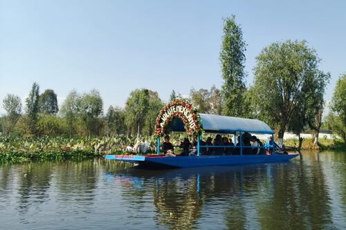 Brinda por el ajolote en Xochimilco: cerveza, chinampas y una experiencia inolvidable