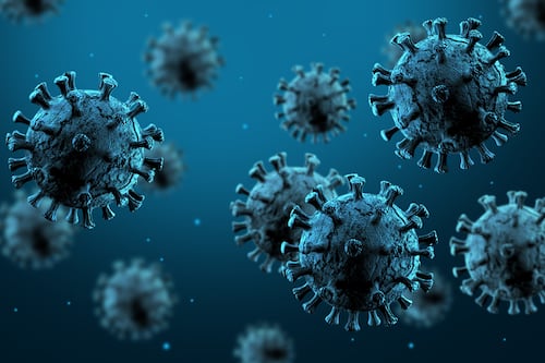 ¿Gripe o hantavirus? Estos son los síntomas que alerta la OMS y que podrían confundirse al inicio de la infección