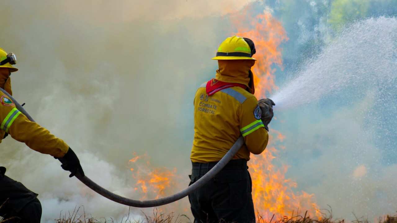 Incendios Forestales CDMX
