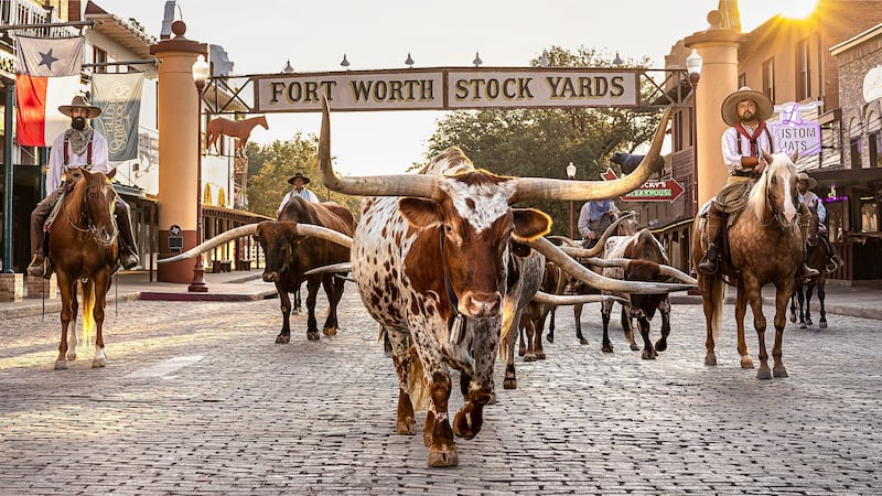 Desde el FIFA Fan Festival hasta rodeos, museos y la esencia texana de Fort Worth, Dallas promete una experiencia inolvidable para los mexicanos que viajarán al Mundial.