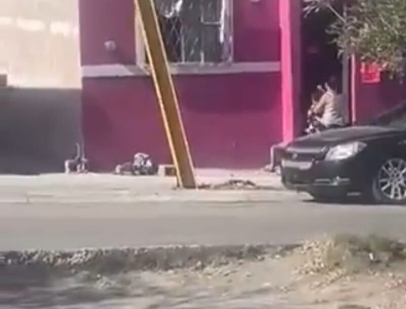 La mujer que rescató al bebé lo llevó hasta la puerta de su casa.