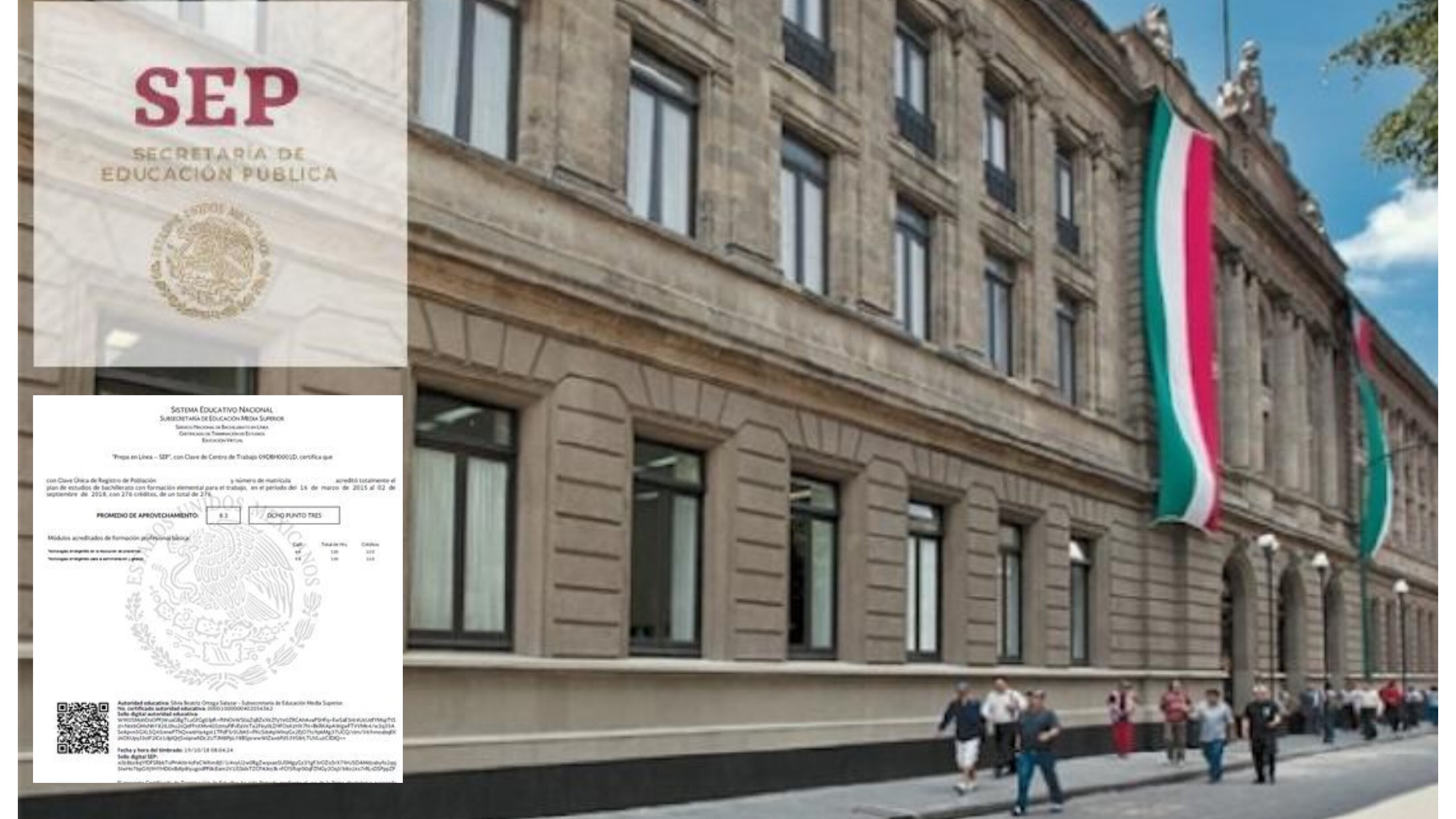 SEP certificado