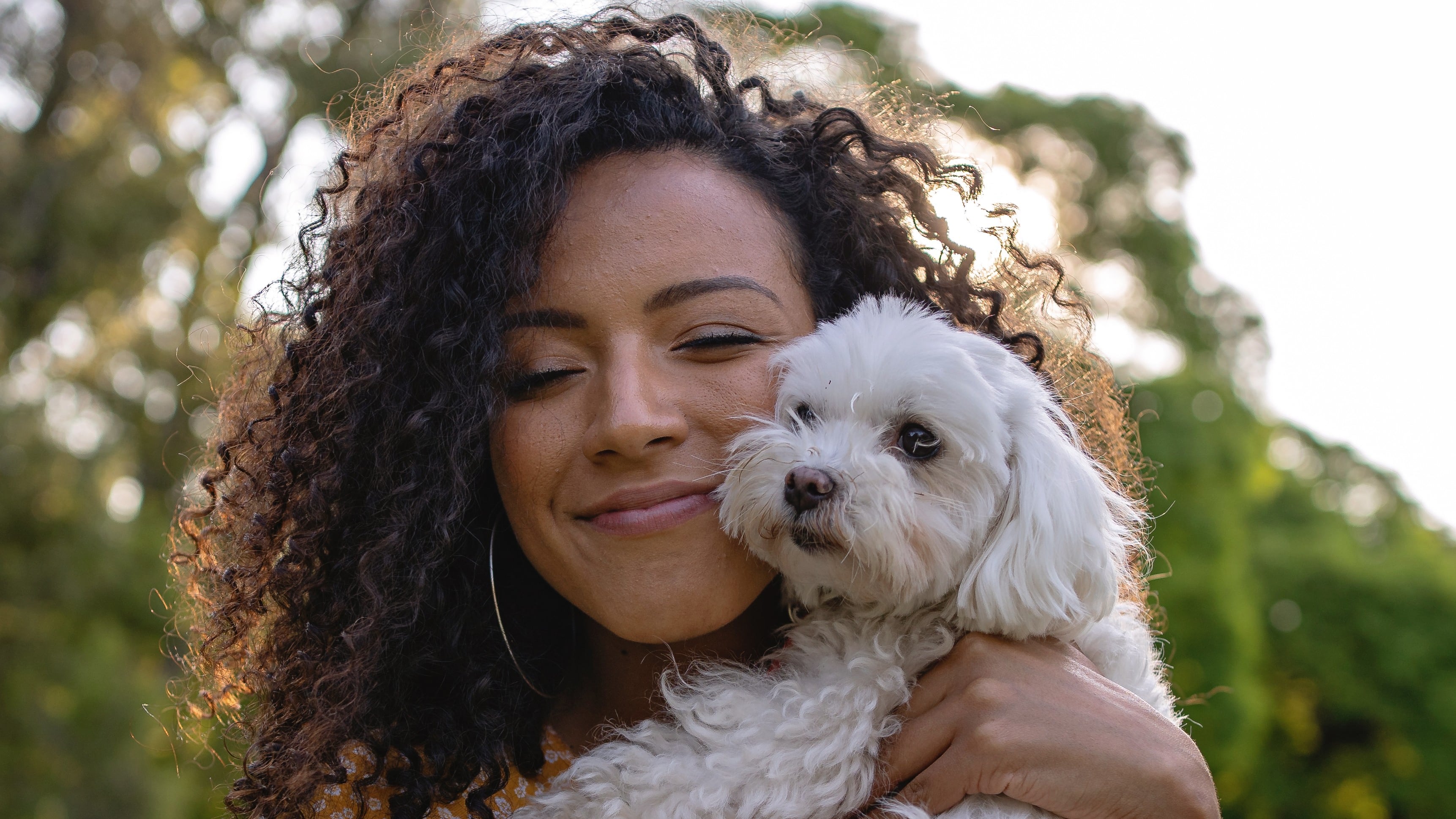 mascotas nueva generación