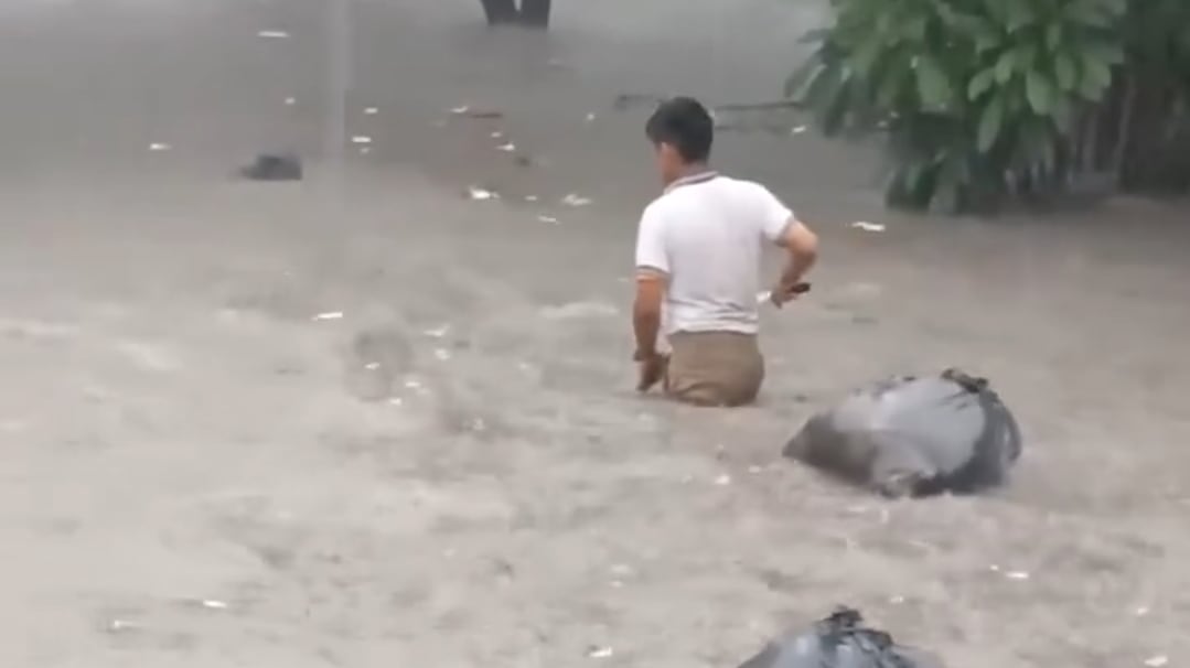 Las Tinajas creció de una forma impresionante.