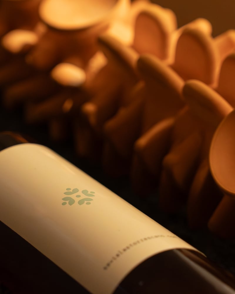 Con rodillos diseñados anatómicamente y fórmulas botánicas, el método Torrescano ofrece resultados visibles mientras promueve relajación y equilibrio corporal