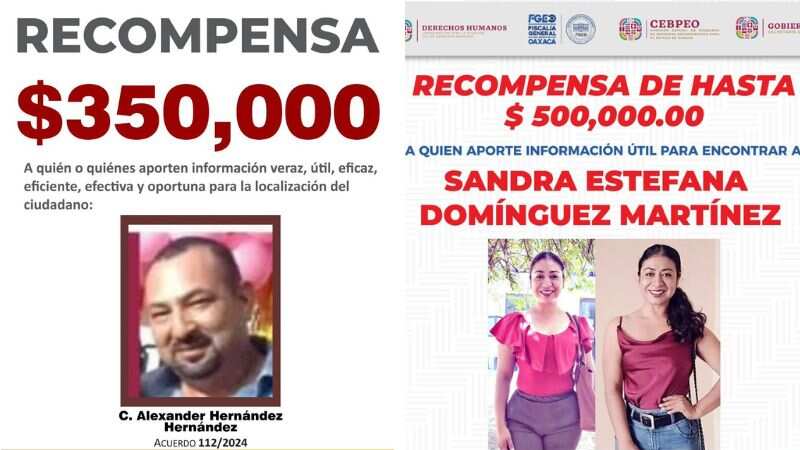 Ofrecen 500 mil pesos de recompensa para encontrar a activista Sandra Domínguez