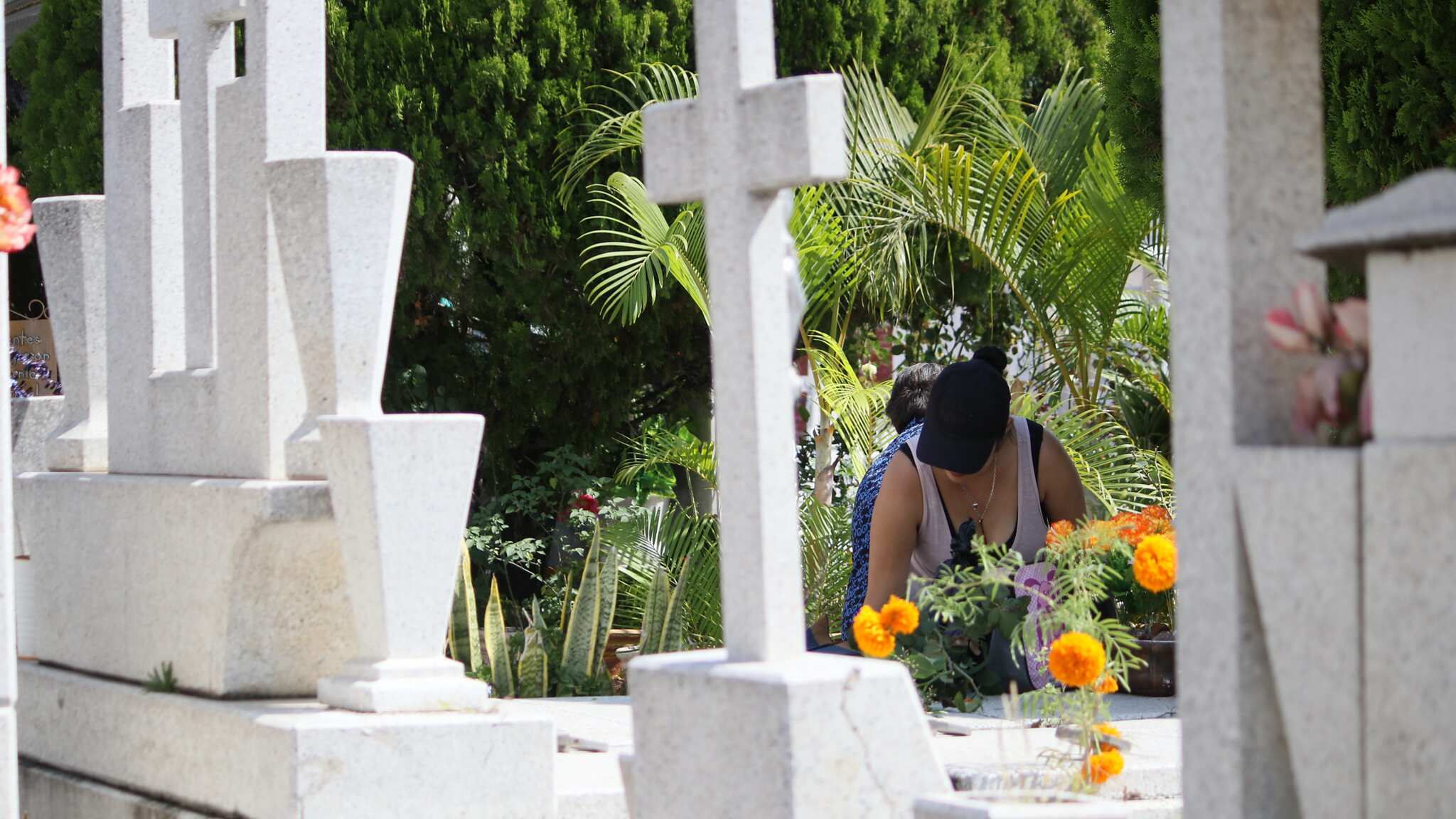 Algunos municipios no permitirán el ingreso de música en vivo, otros sí.